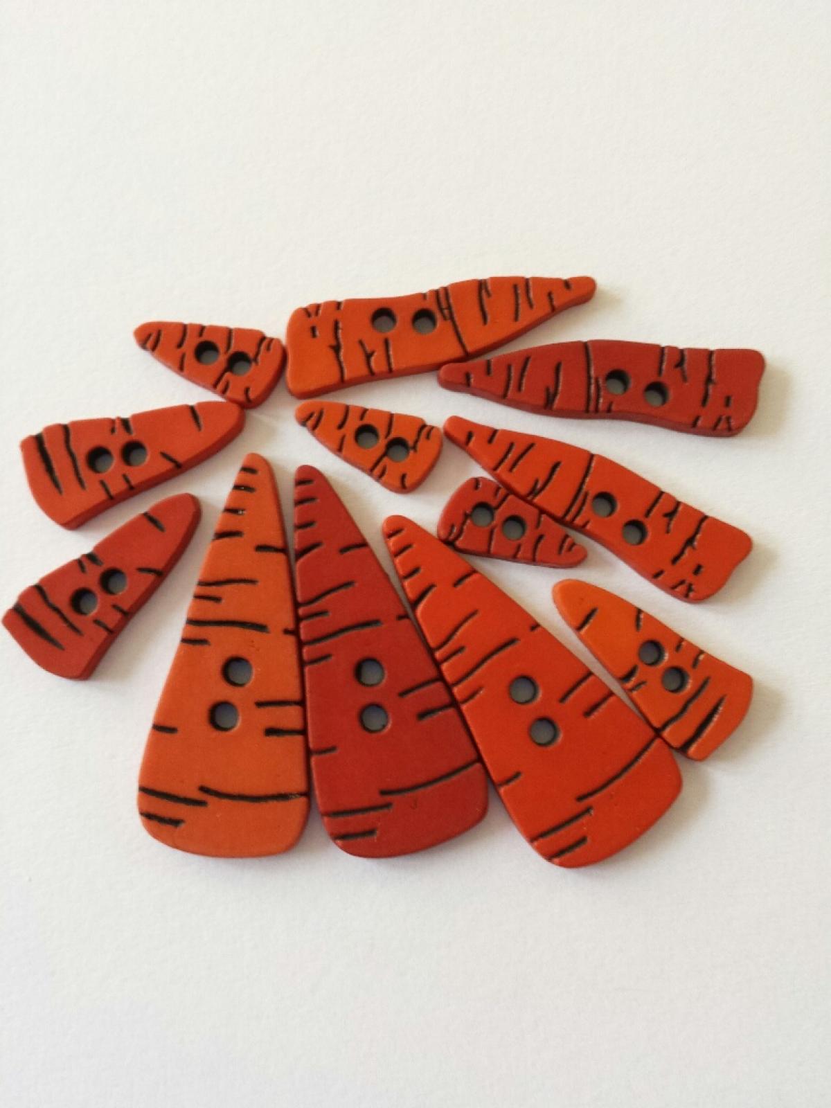 Carrot noses 4683