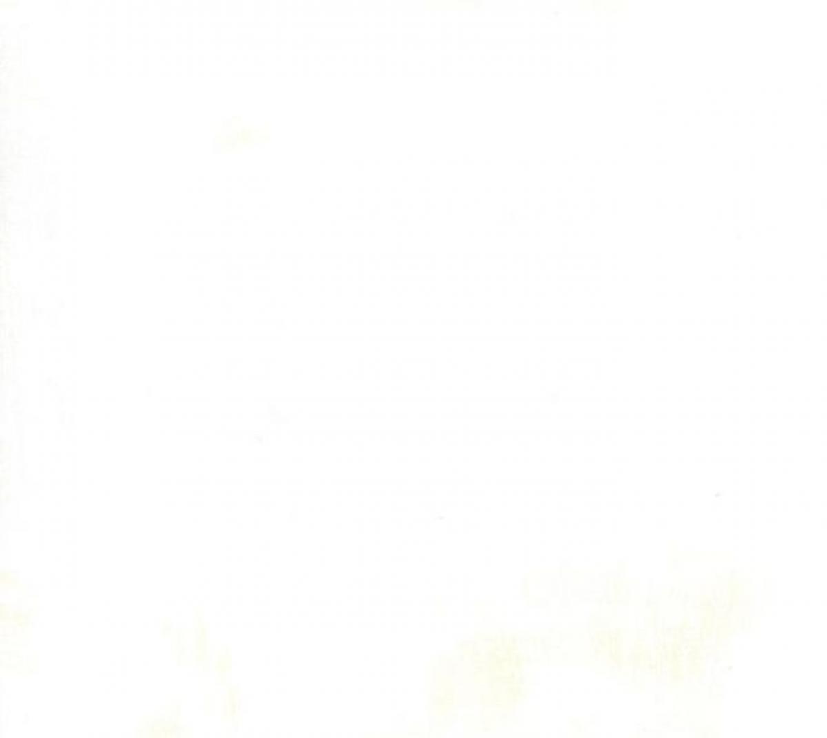 Moda Grunge Basic 30150 531 Eggshell wit