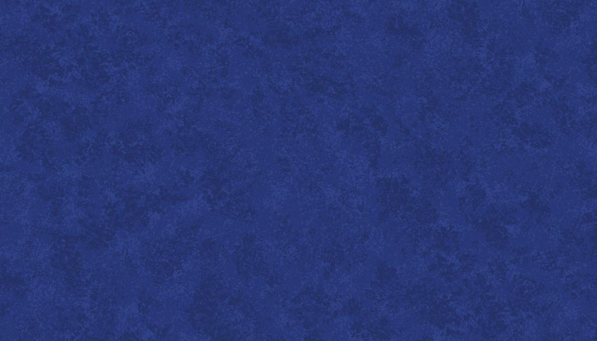 Makower Spraytime 2800 B08 Royal blauw