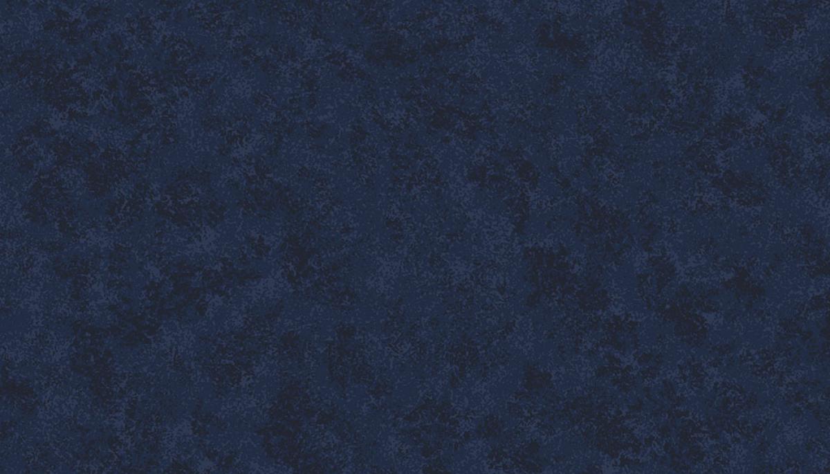 Makower Spraytime 2800 B59 Midnight blue blauw