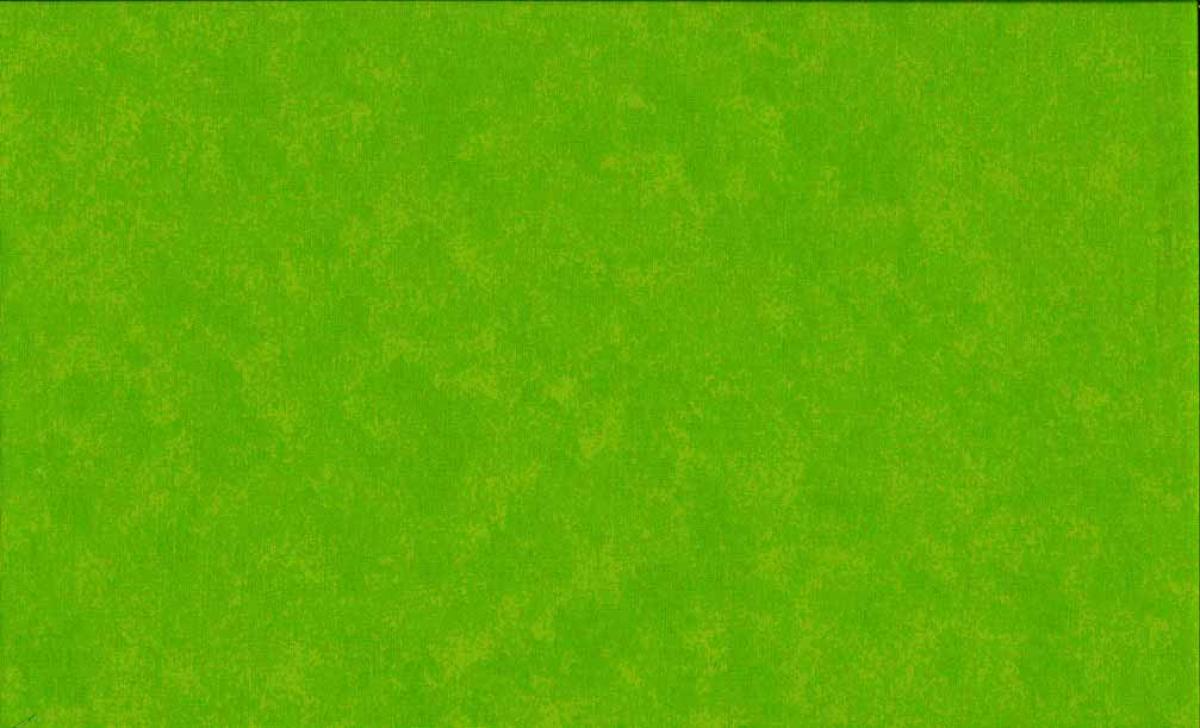 Makower Spraytime 2800 G02 Lime groen