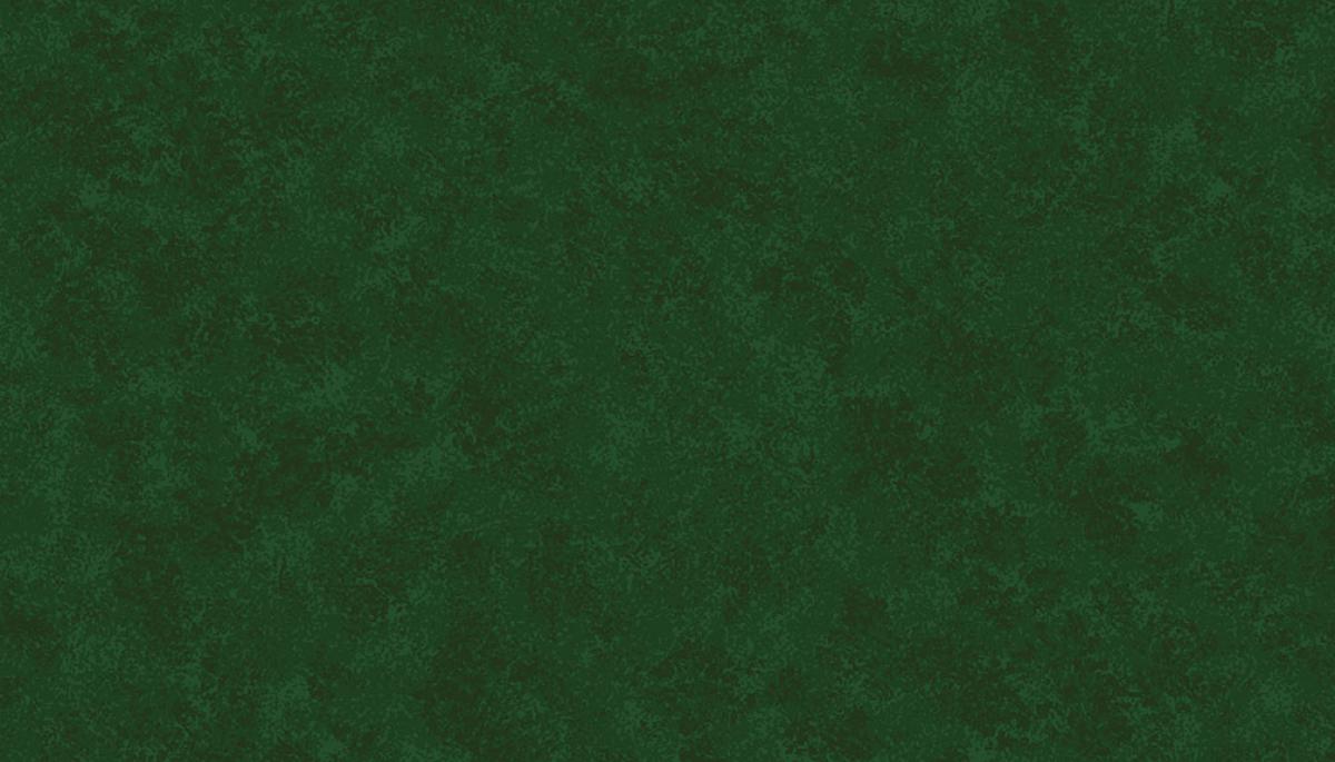 Makower Spraytime 2800 G09 Forest groen 