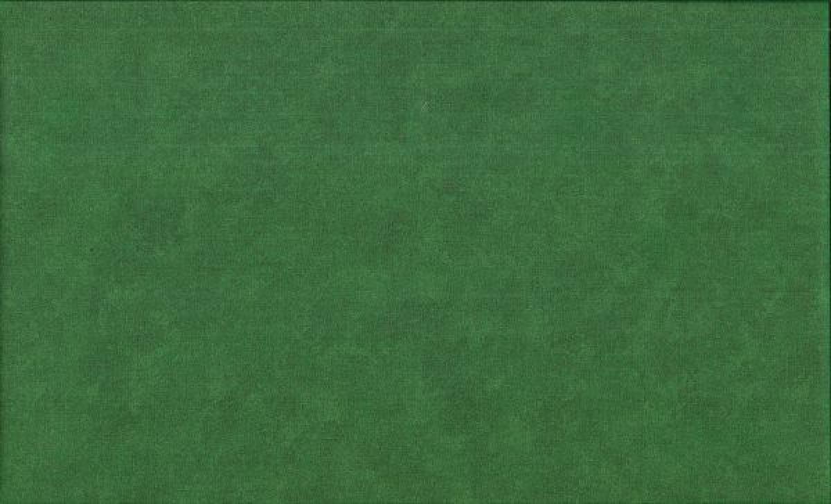 Makower Spraytime 2800 G67 Christmas green groen