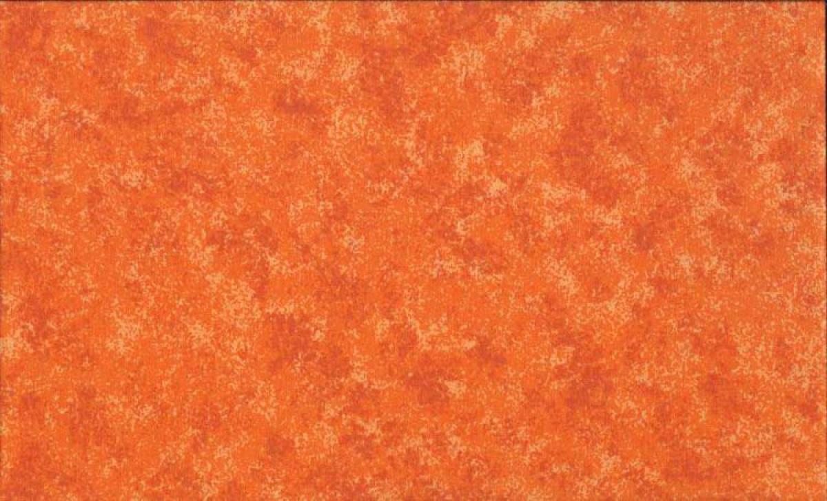 Makower Spraytime 2800 N56 Manderine oranje