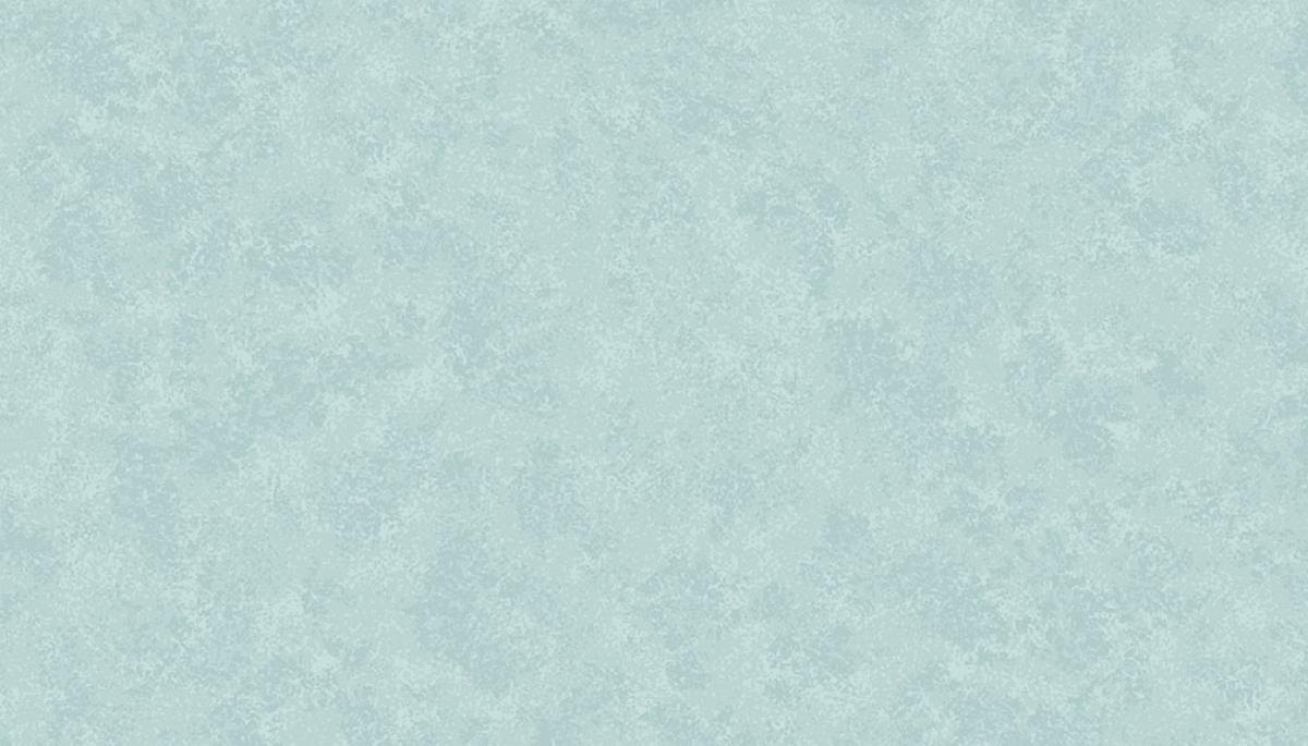Makower Spraytime 2800 T81 Smoke blauw
