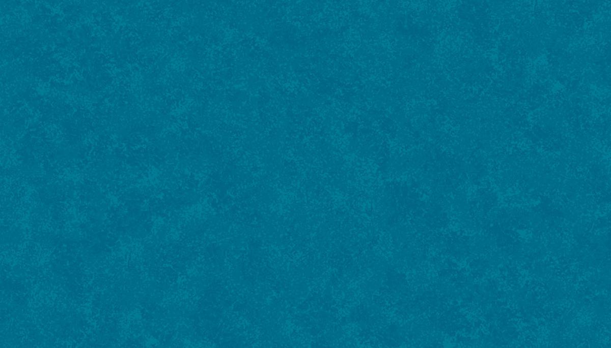 Makower Spraytime 2800 T78 Turkoois blauw