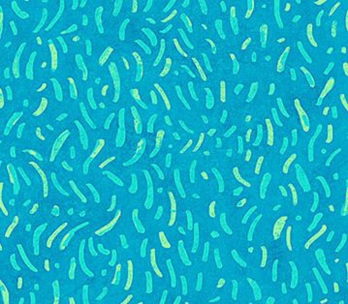 Northcott Artisan 22184-63 Spirit Floral Fantasy kriebeltje blauw