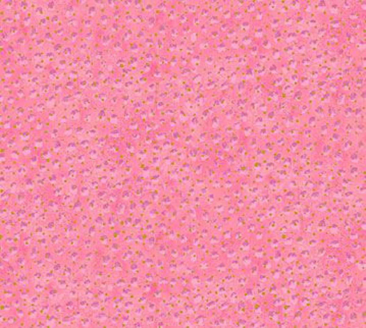 Northcott Artisan Spirit Shimmer Hibiscus 20255-21 kriebeltje roze