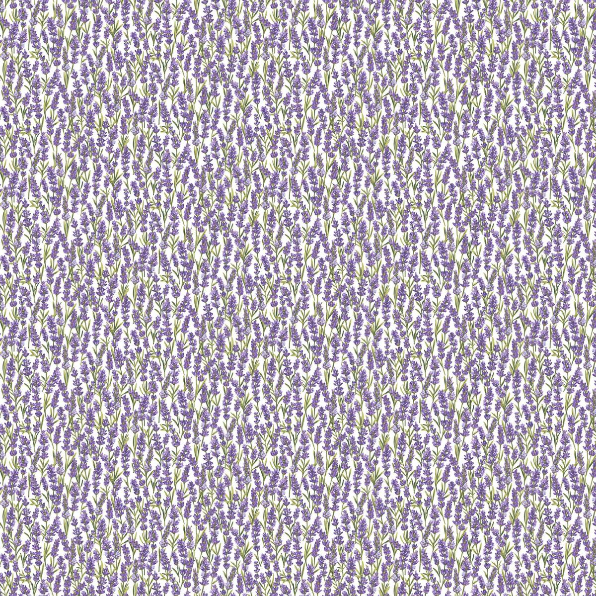 Northcott Lavender Market 24476-10 Lavendel wit