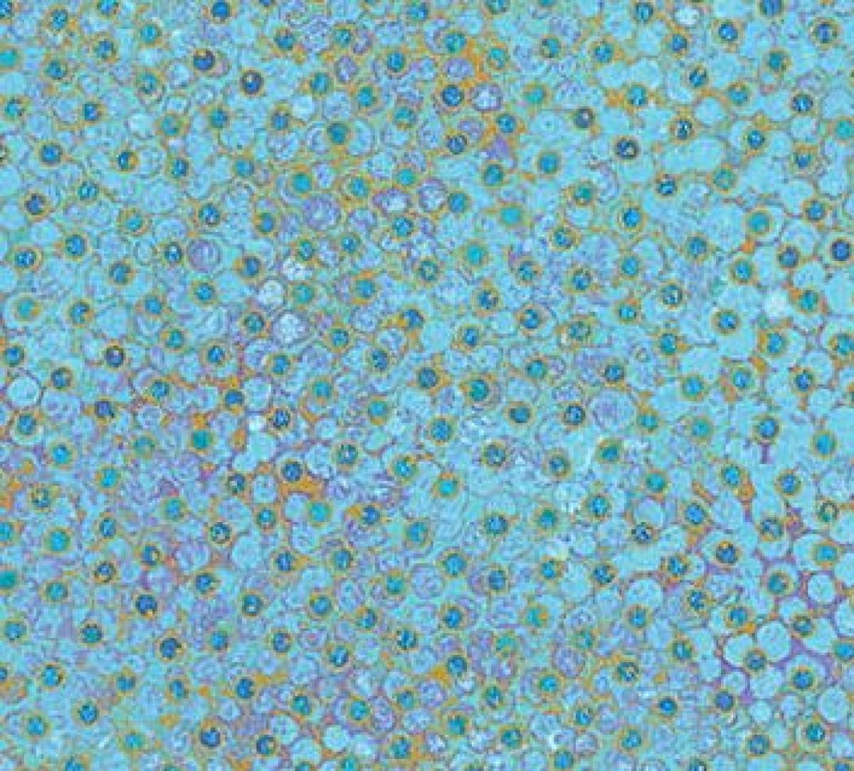Northcott Artisan Spirit Shimmer Deep Blue Sea 22994-44 blauw stippen