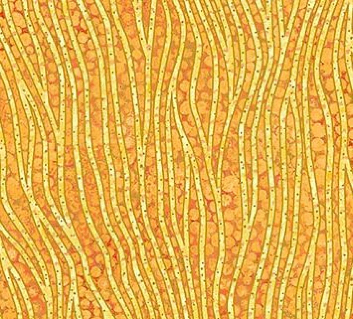 Northcott Artisan Spirit 22094-52 Shimmer Oasis kronkellijn geel
