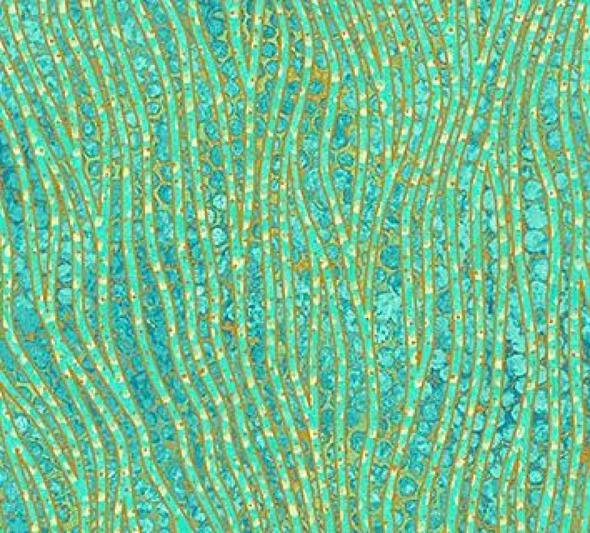 Northcott Artisan Spirit 22094-72 Shimmer Oasis kronkellijn groen