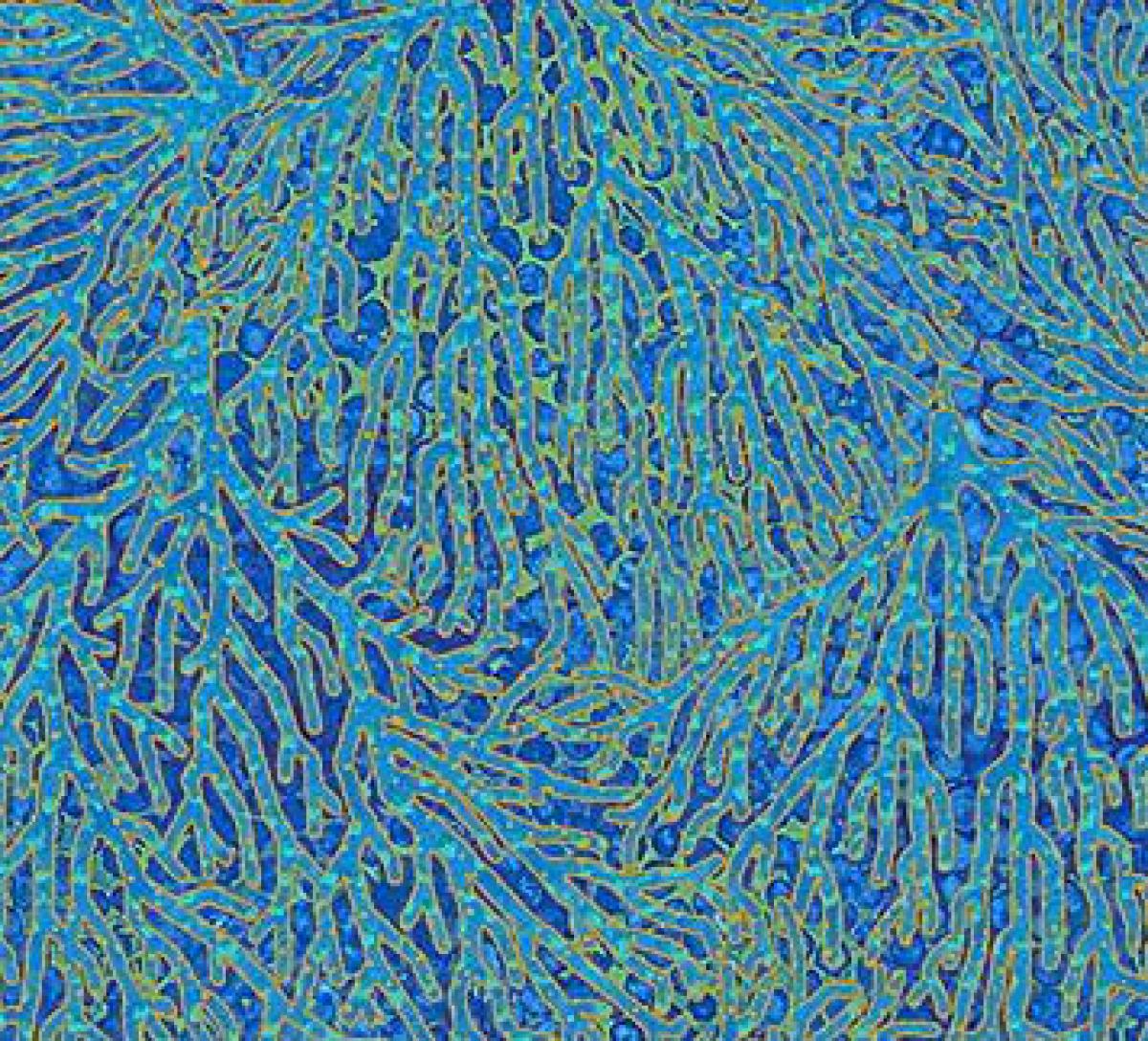 Northcott Artisan Spirit Shimmer Oasis 22096-44 zeewier blauw