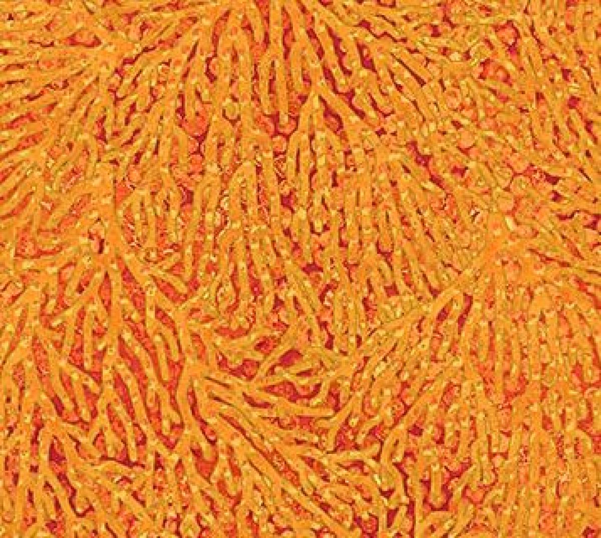 Northcott Artisan Spirit 22096-54 Shimmer Oasis takjes oranje