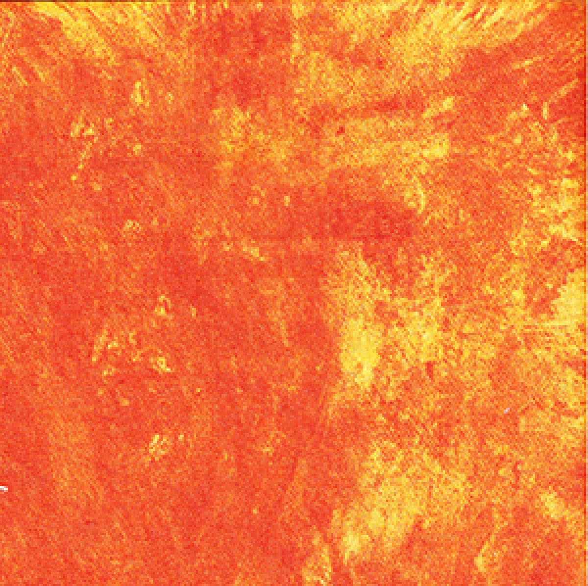Northcott Daydreamin 40009-58 oranje
