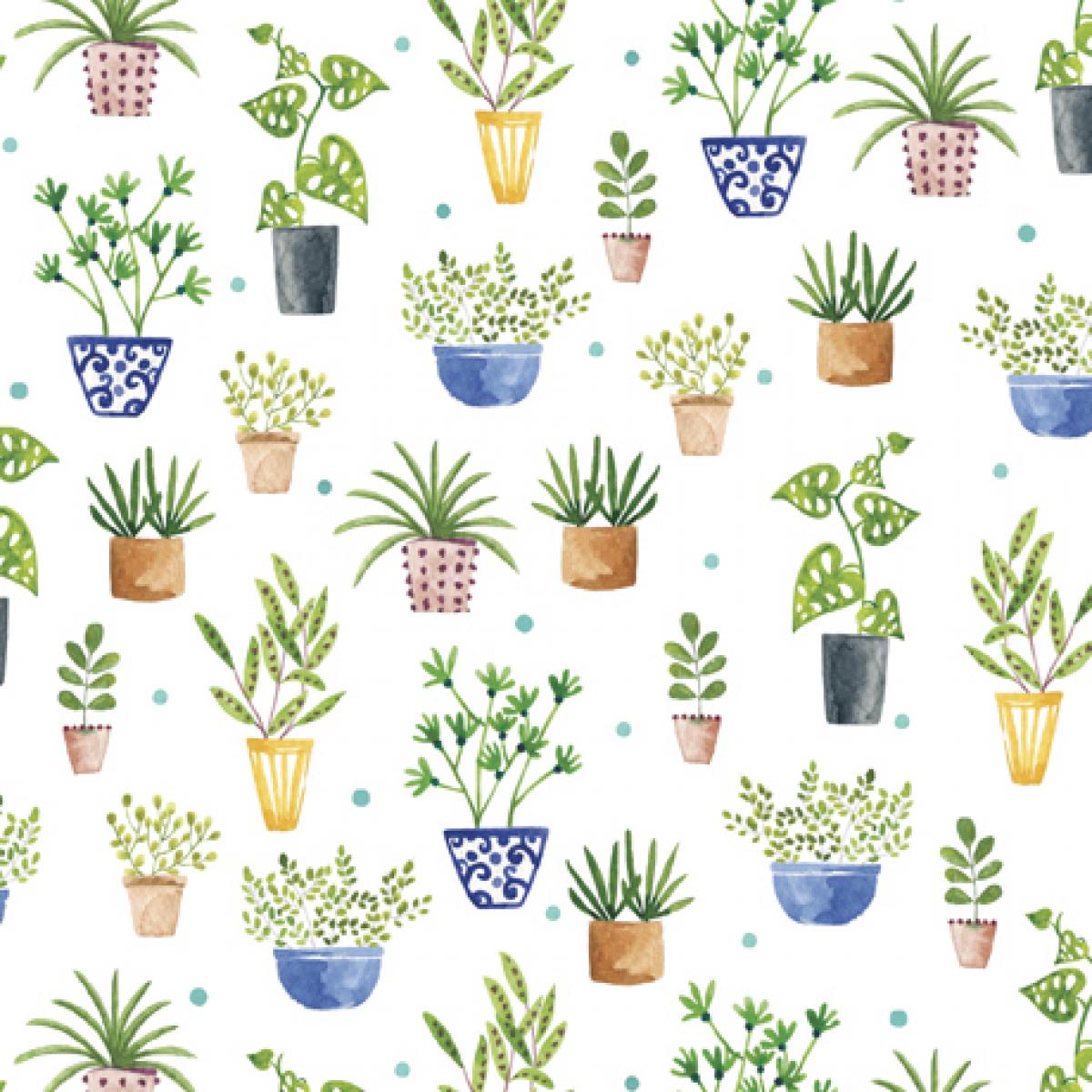 QT Fabrics Frogs & Fronds 29291 Z planten wit