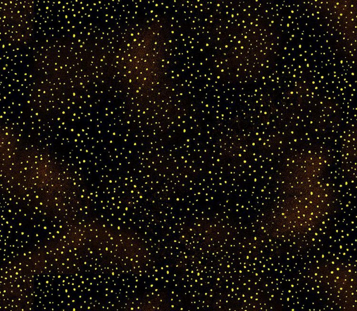 Timeless Treasures CM1887 Cleo Rust Black zwart