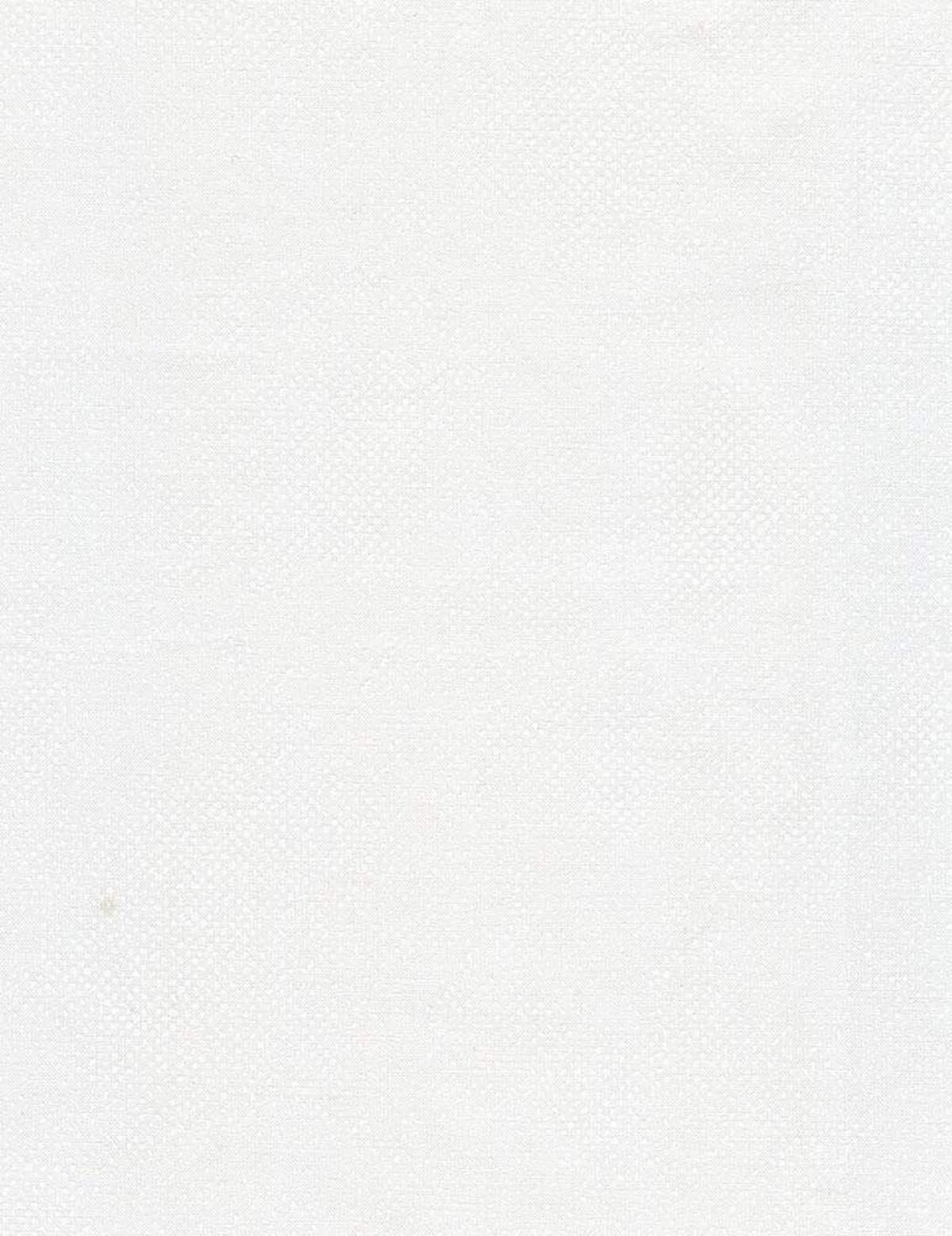 Timeless Treasures C1000 Surface Pearl wit